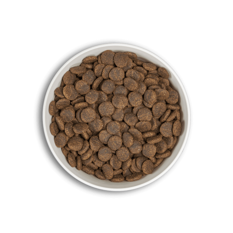 Era Dog Centurion Grain Free de Salmón y Venado 2kl Med/Maxi