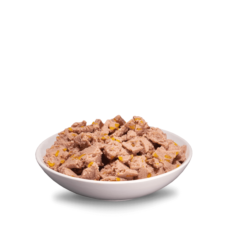 Era Sybarite Dog Puppy Turkey