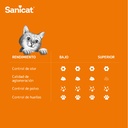 Sanicat Arena aglomerante - Aroma a vainilla y mandarina 8L