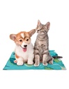 Arquivet Alfombra refrescante antimosquitos Cat & Dog