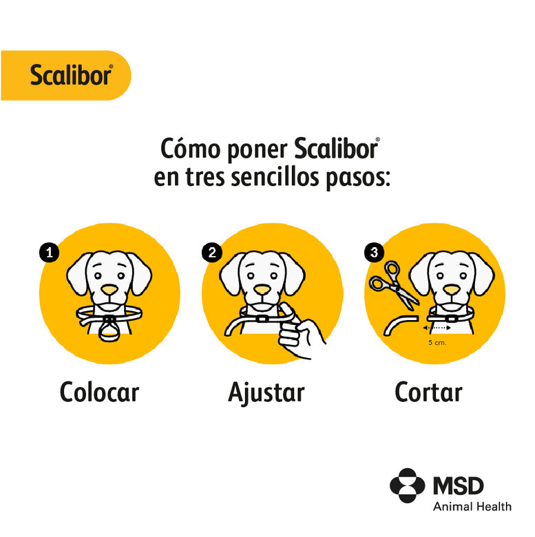 Scalibor Collar Antiparasitario para Perro