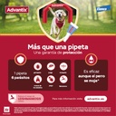 Advantix Pipeta para Perro