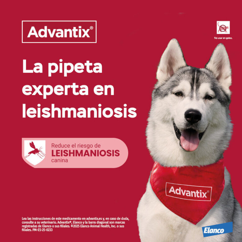 Advantix Pipeta para Perro