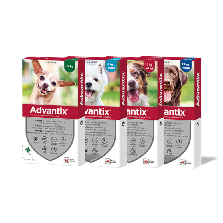 Advantix Pipeta para Perro