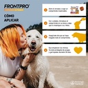Frontpro Comprimidos Antiparasitarios Comprimidos para Perros