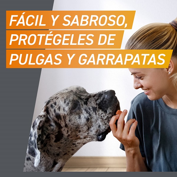 Frontpro Comprimidos Antiparasitarios Comprimidos para Perros
