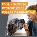 Frontpro Comprimidos Antiparasitarios Comprimidos para Perros
