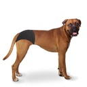 Duvo slip bragas de perro T L 40-49 cm