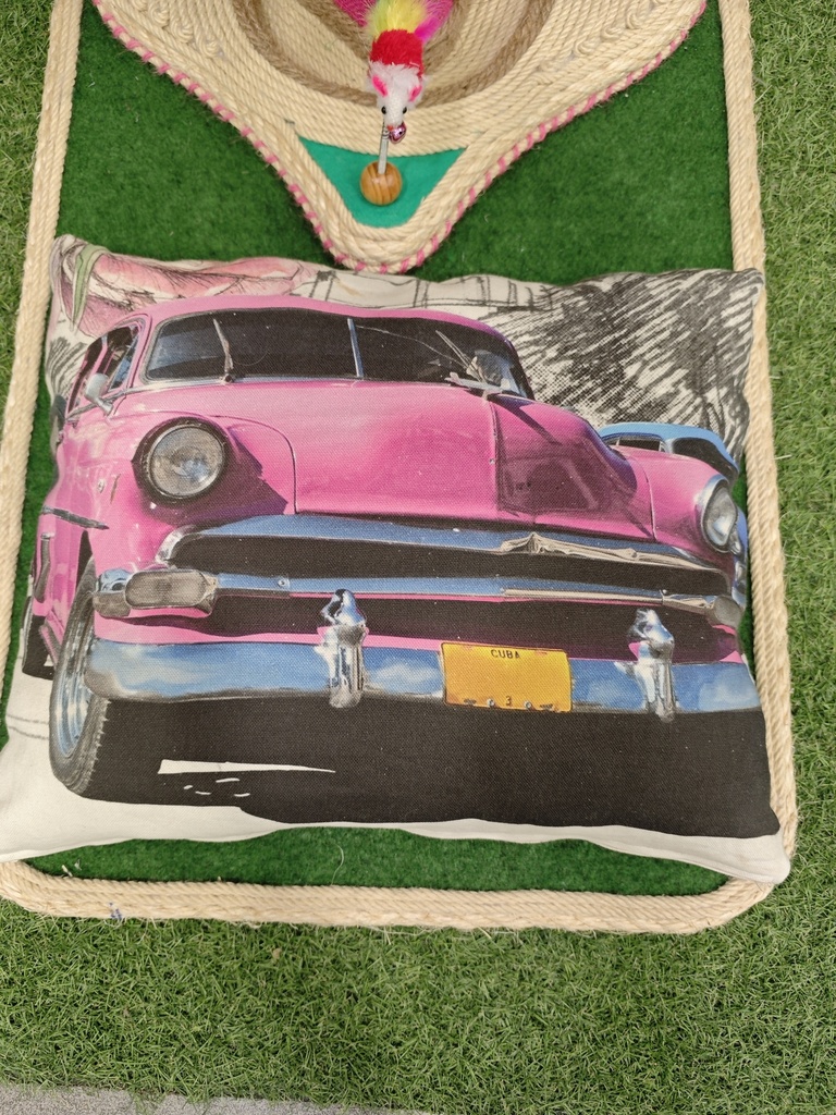 Rikku Toys Cat Torre rascador con cojín