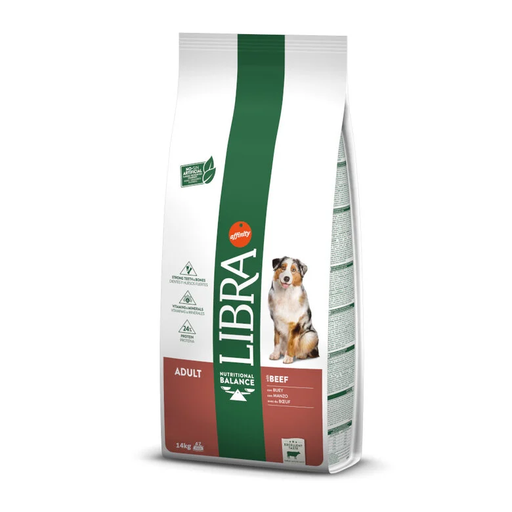 Libra dog adult buey