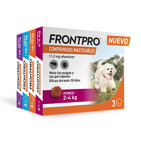 Frontpro Comprimidos Antiparasitarios Comprimidos para Perros